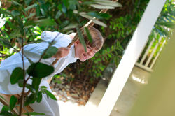 707--IMG_0252