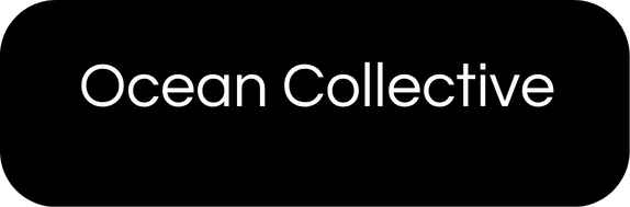 OceanCollective.png