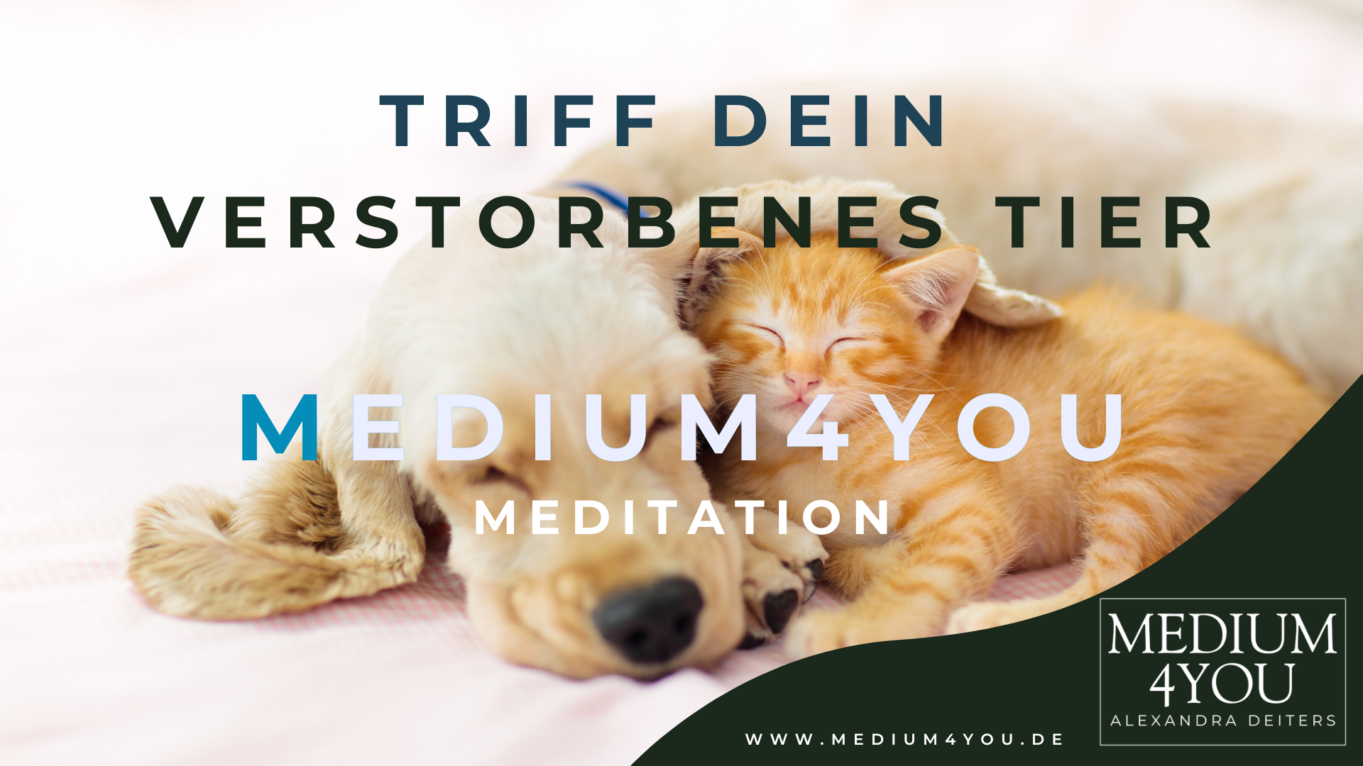 Begegnung mit deinem verstorbenen Tier