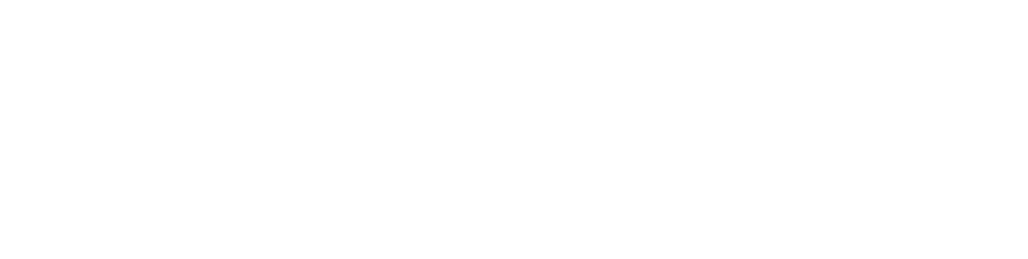 NL_Logo_SystemSolutions_White.png