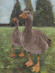 CanadianGoose.jpeg