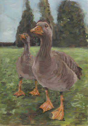 CanadianGoose.jpeg