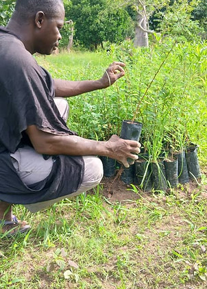 WhatsApp Image 2025-07-31 at 07.29.34.jpeg