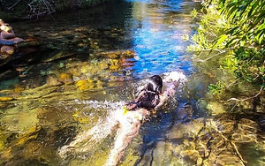 hospedagem na natureza