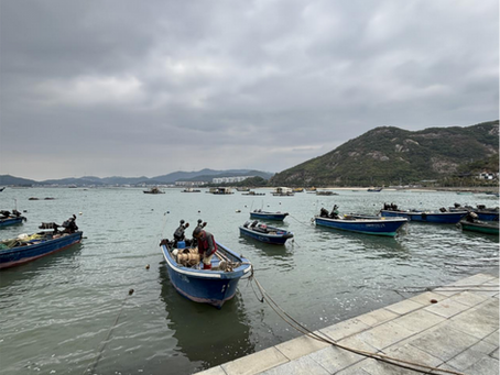 Shifting Tides: The Rise and Fall of Raft-Aquaculture