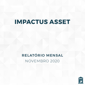 Relatório Novembro - Impactus Asset