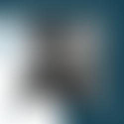 Investidoras de Impacto: Rafaela Vitoria