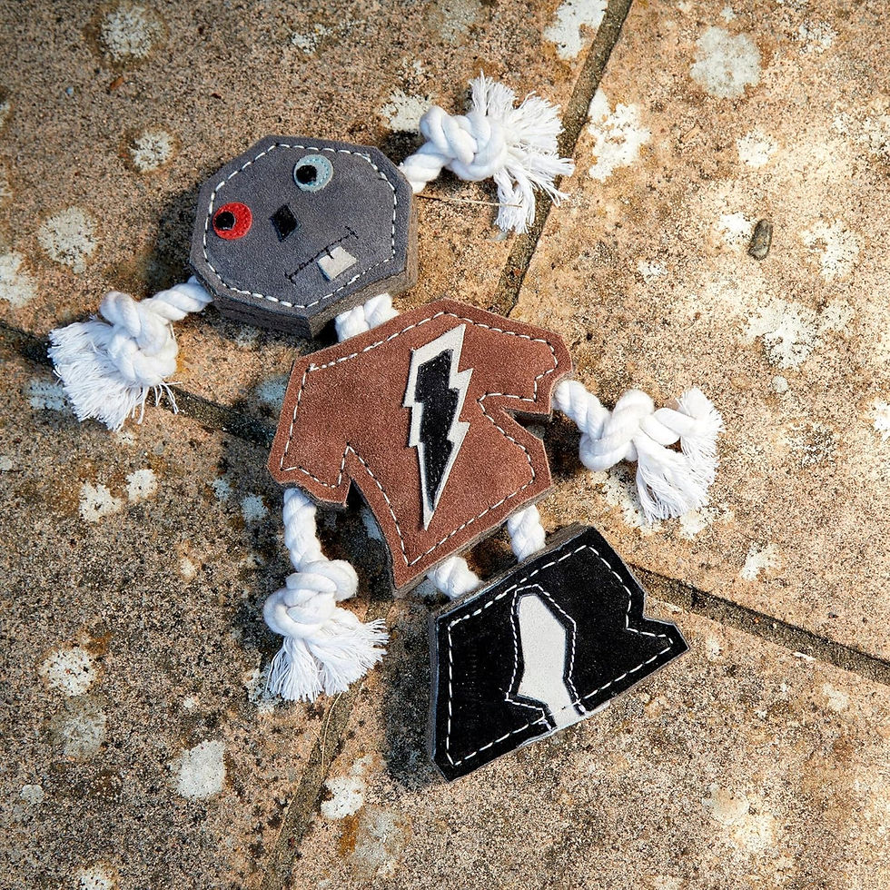 Thumbnail: I AM A ROBOT, I WILL NOT HARM YOU, Eco Toy