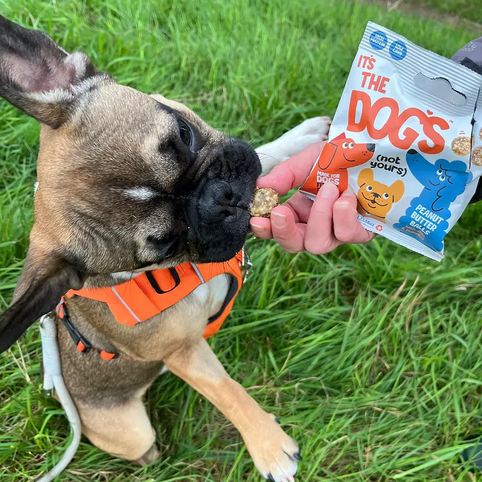 Thumbnail: It’s the dogs - Peanut Butter Protien Balls 