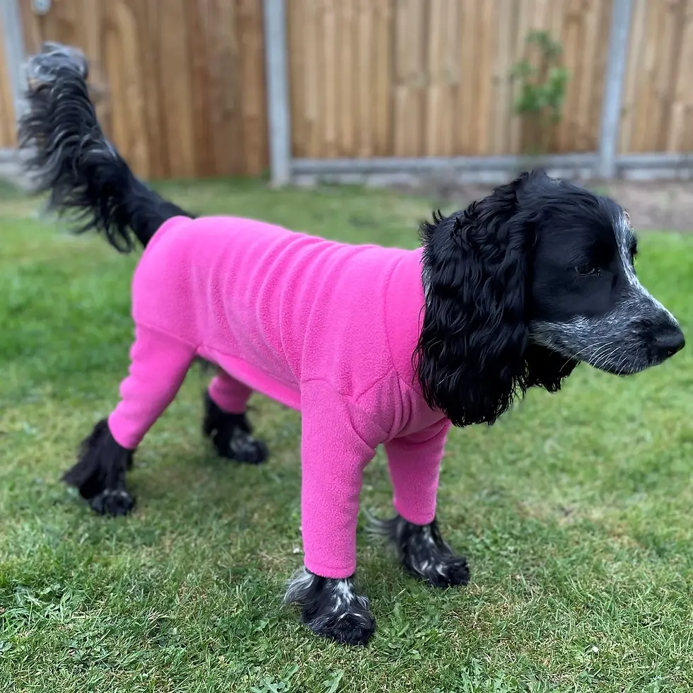 Thumbnail: Pawsome Suits - 4 legged fleece suit jumper