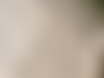 Conteúdo também é identidade