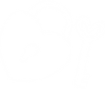 Recurso 27.png