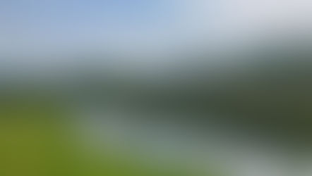 ［2025年05月号］写真～菊池の初夏 迫間川の鯉のぼり～