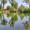 IMG_20230505_115233.jpeg