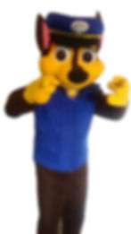 peppa pig dallas party dory anrgy