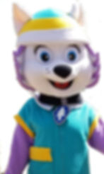 MICKEY DALLAS PARTY ELMO