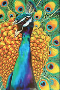   Jean-Baptiste silk painting of a peacock