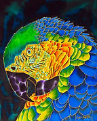  Jean-Baptiste silk painting of a macaw parrot