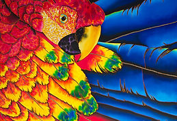 Jean-Baptiste silk painting of a macaw parrot