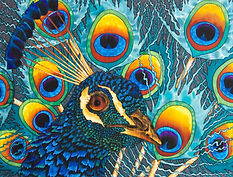  Jean-Baptiste silk painting of a peacock