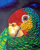    Jean-Baptiste silk painting of a parrot