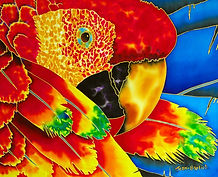  Jean-Baptiste silk painting of a macaw parrot