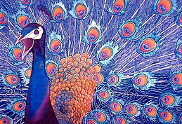    Jean-Baptiste silk painting of a peacock