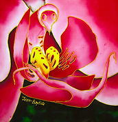   Jean-Baptiste silk painting a pink orchid