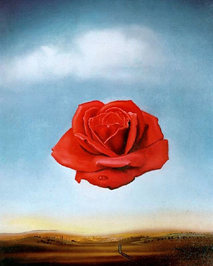 rosa meditativa.jpg