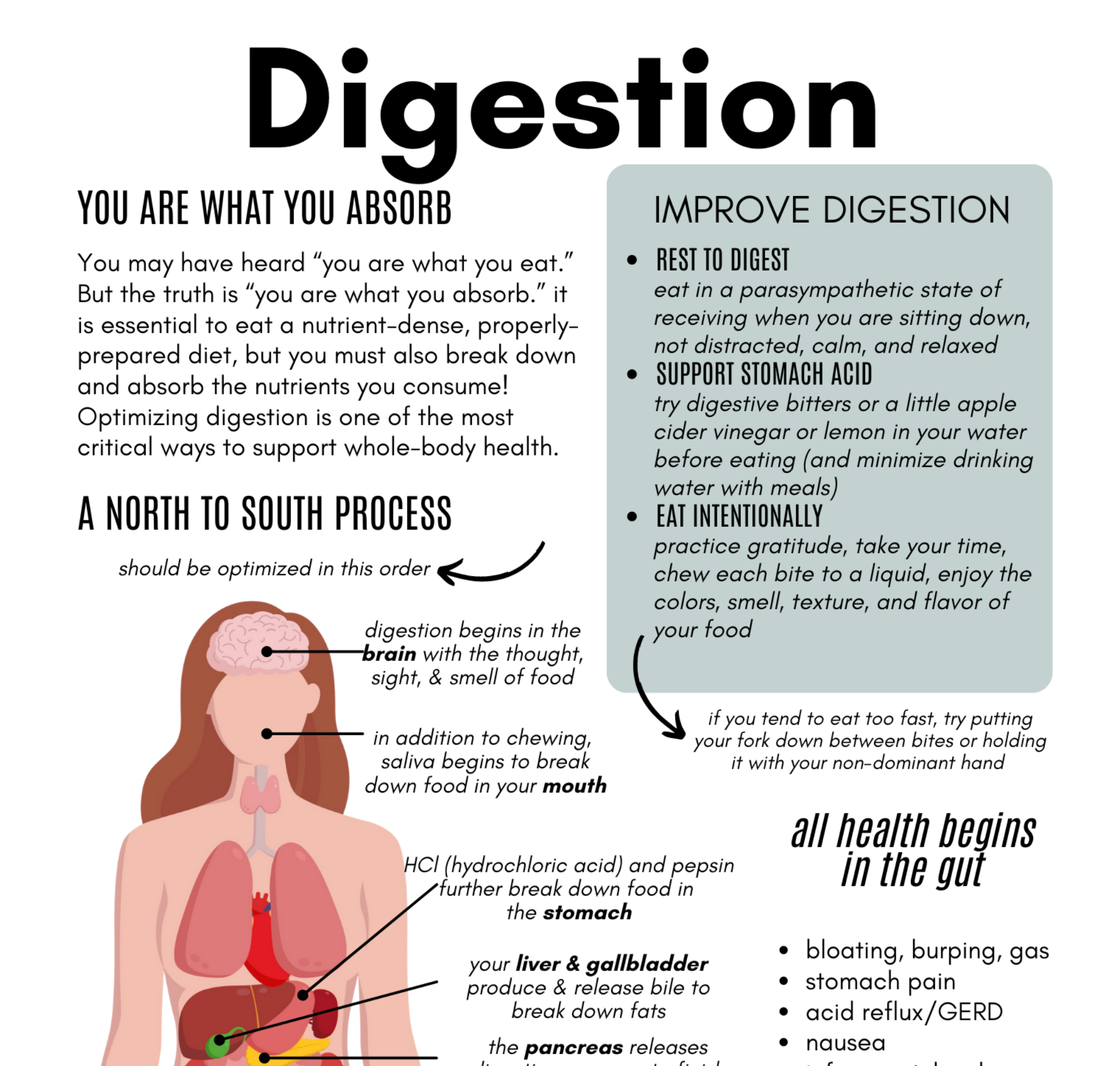 Digestion Guide