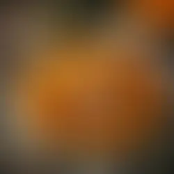Roasted Butternut Squash