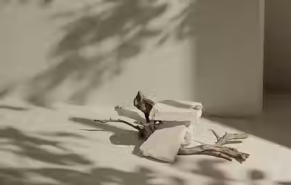 Wabi Sabi style interior curated by Intriora with raw elegance and timeless simplicity