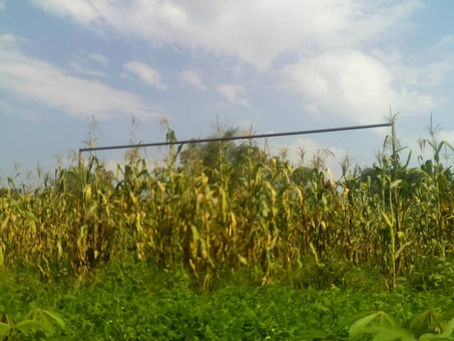 September newsletter