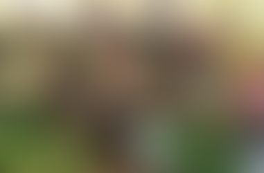 February Newsletter 2026