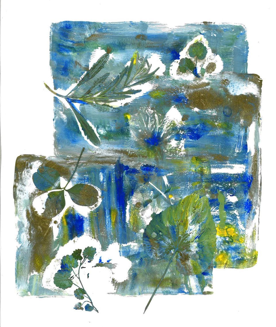 Leaves Upstate