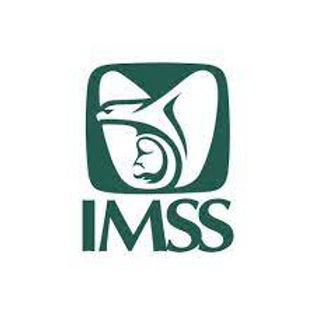imss logo 2.jfif