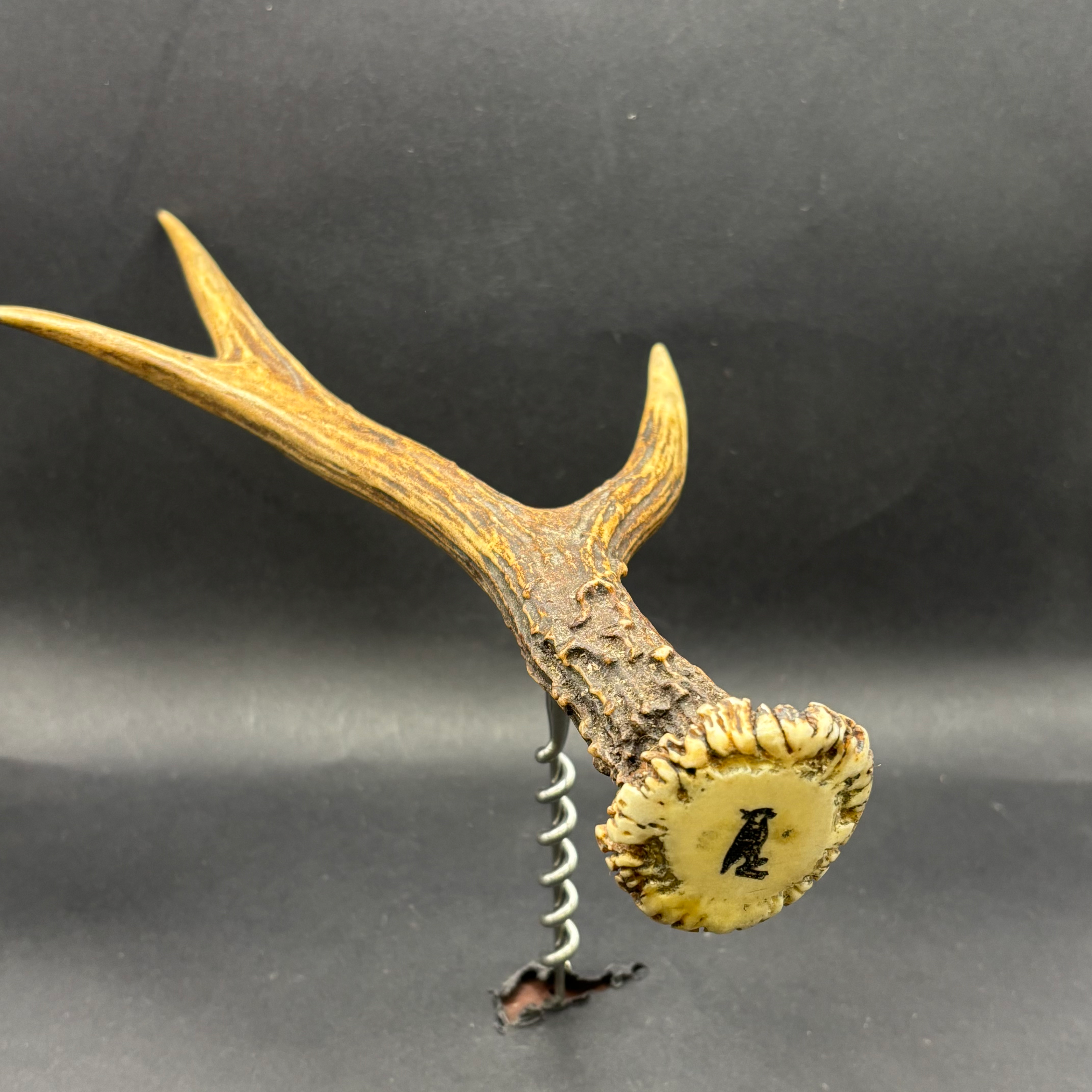 OLONNOIS Tire-Bouchon Chevreuil