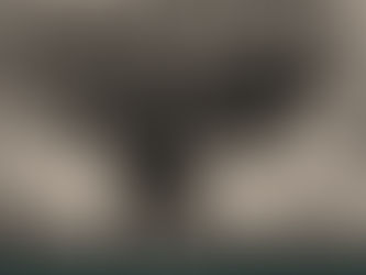 Self-Care:  A Fundamental Skill for Coparents