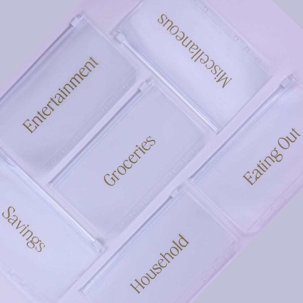 6 Zipper Cash Envelopes with gold print style labels.