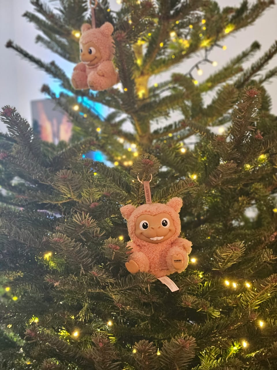 WhatsApp Image 2025-12-04 at 8.22.53 PM.jpeg