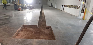 Resized_20190206_203252_740.jpeg