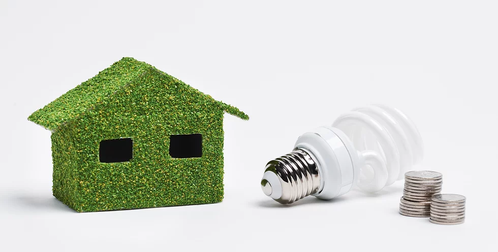Website - Eco House.webp