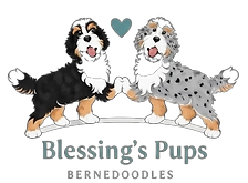 logo_edited.png