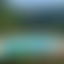 Domaine de la Taillade "Camping Naturiste"