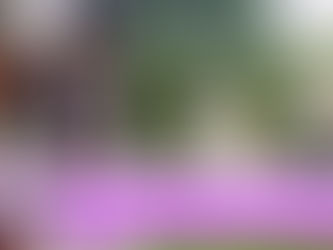 MUDA主席赛沙迪与前妇女部部长杨巧双合拍创意短视频:鼓励家长多支持孩子们的兴趣与热情,而不是孤立他们!