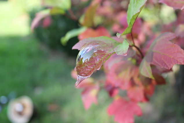 Digital Photography Projects
