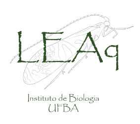 LEAq