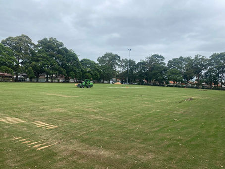 🏟️ Hammond Park Upgrade – A New Home for the Pirates