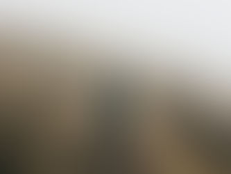 brain fog