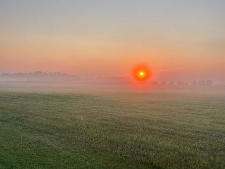 foggy sunrise